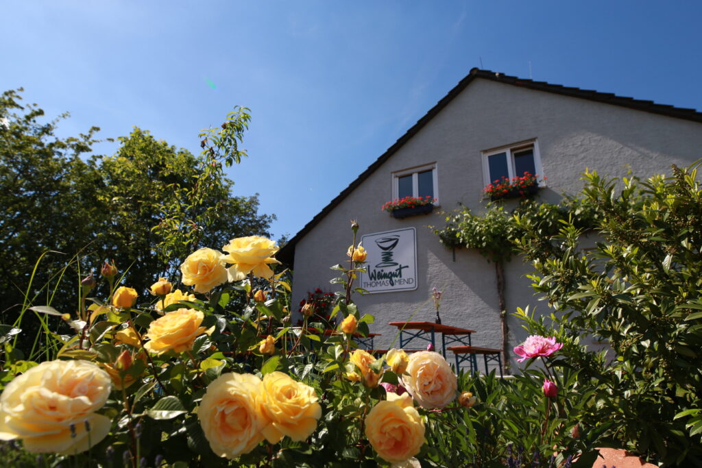 Photo 5 of Weingut Thomas Mend