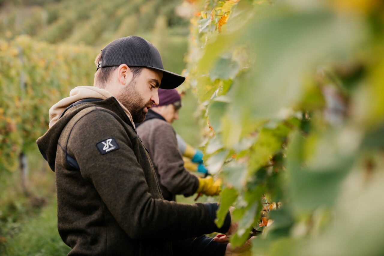 Foto 1 von Weingut Thomas Quint