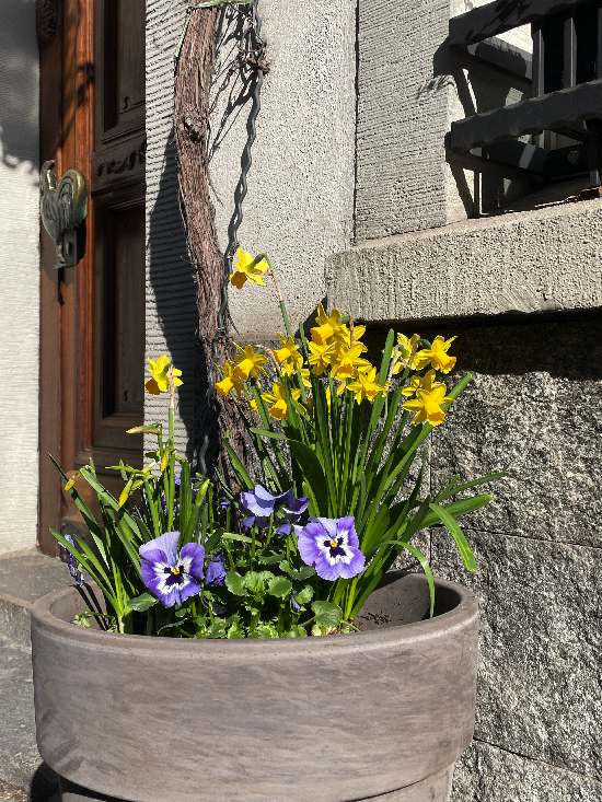 Foto 1 von Weingut Toni Jost Hahnenhof