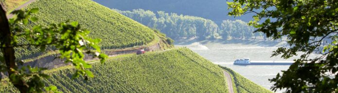 Foto 7 von Weingut Toni Jost Hahnenhof