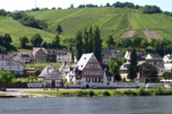 Foto 1 von Weingut Treis