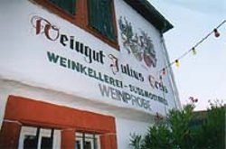 Foto 6 von Weingut Treis