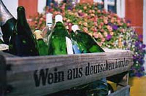 Foto 3 von Weingut Treis