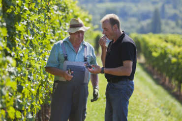 Foto 1 von Weingut Übel