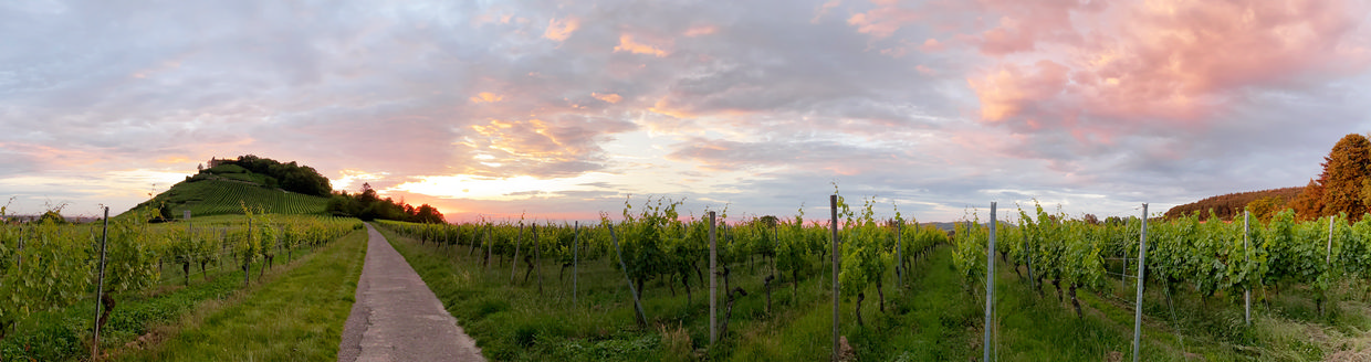 Weingut Ulmann