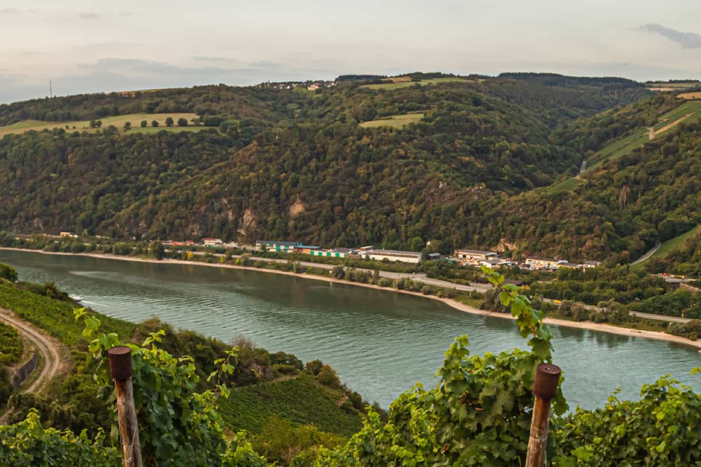 Foto 2 von Weingut und Destillerie Sonnenhang