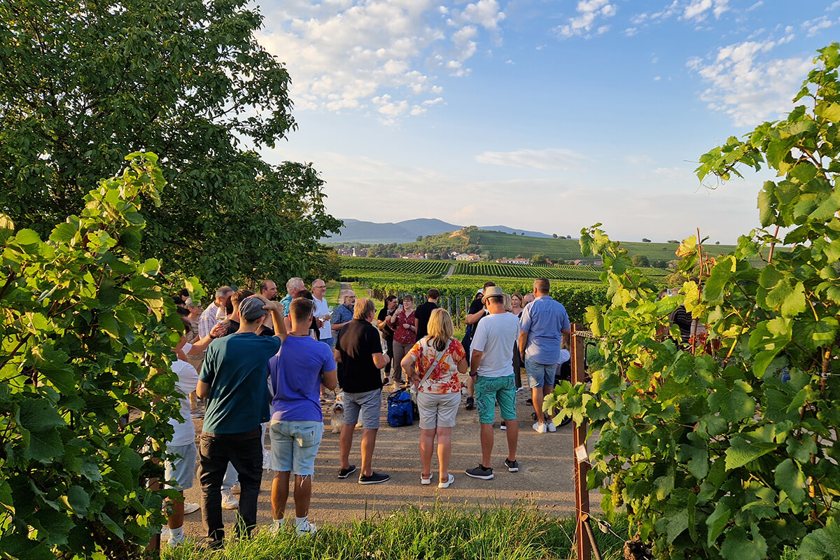 Foto 3 von Weingut und Gästehaus Bosch