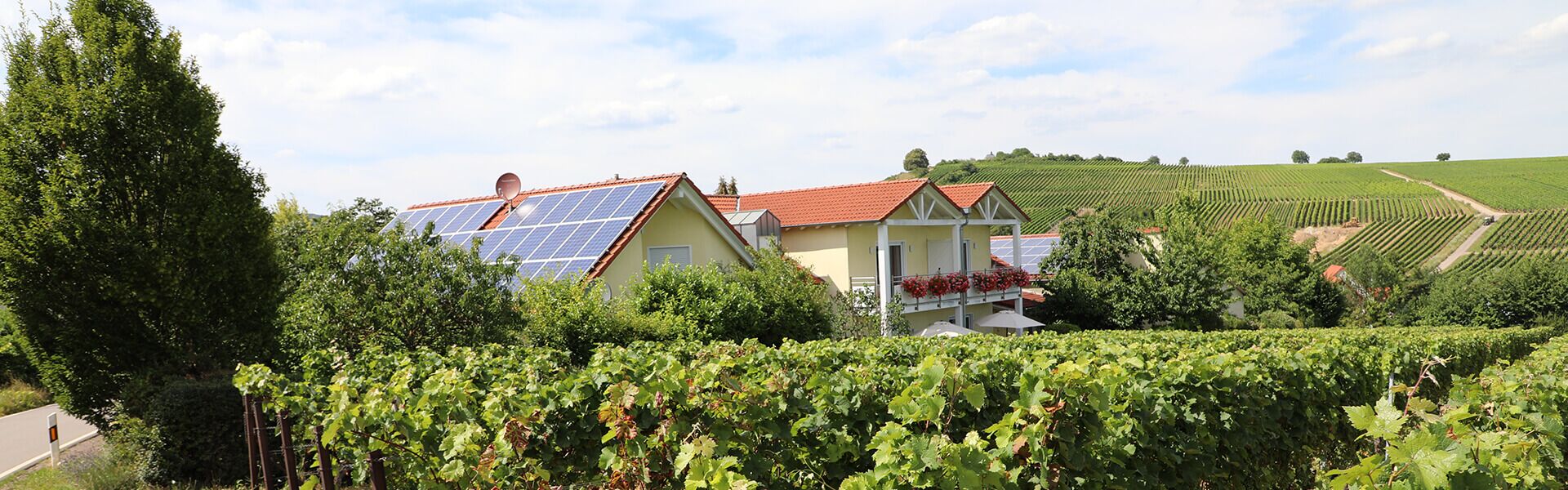 Foto 2 von Weingut und Gästehaus Bosch