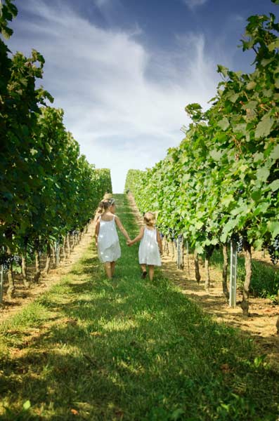 Foto 1 von Weingut und Gästehaus Friedrichshof