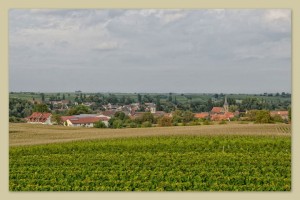 Foto 9 von Weingut und Gästehaus Friedrichshof