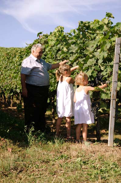 Foto 4 von Weingut und Gästehaus Friedrichshof