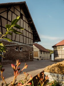 Foto 2 von Weingut und Gestüt Scheuelberghof