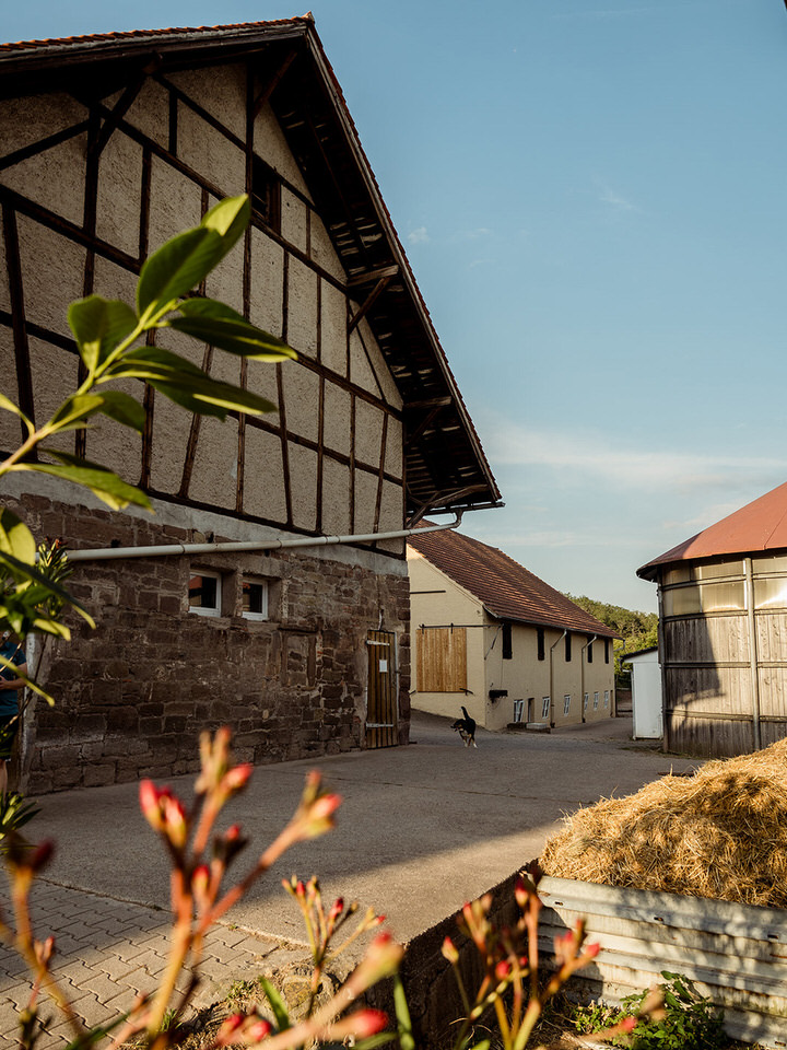 Foto 1 von Weingut und Gestüt Scheuelberghof