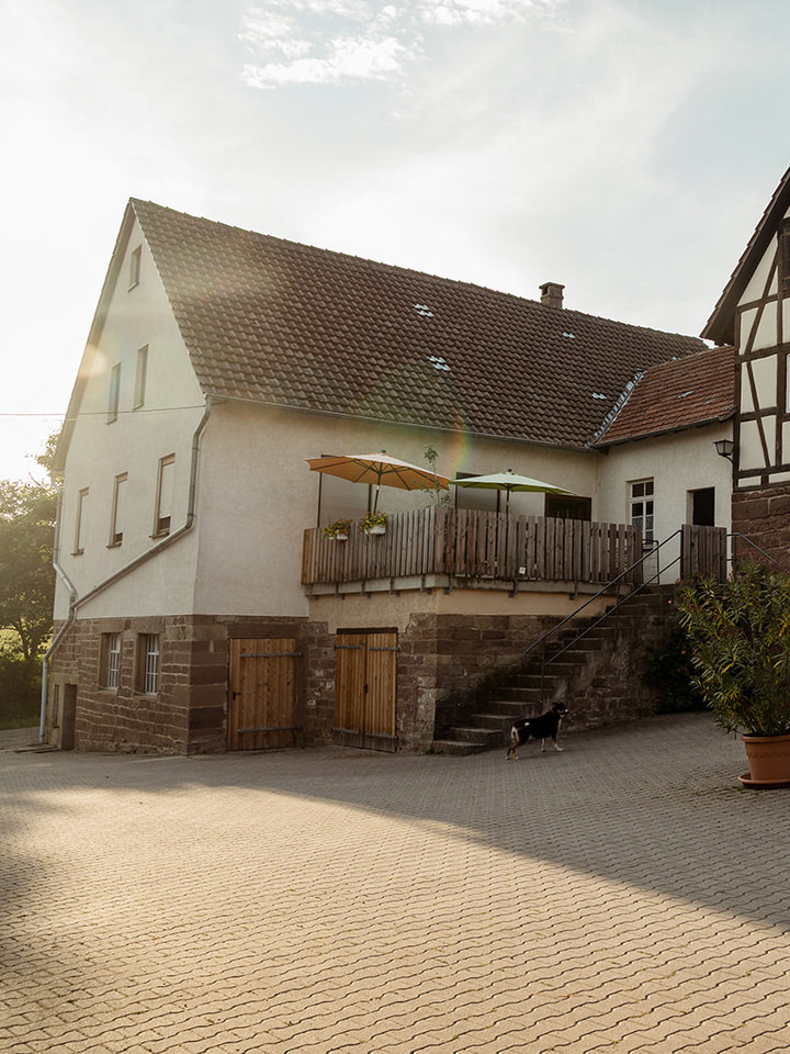 Foto 5 von Weingut und Gestüt Scheuelberghof