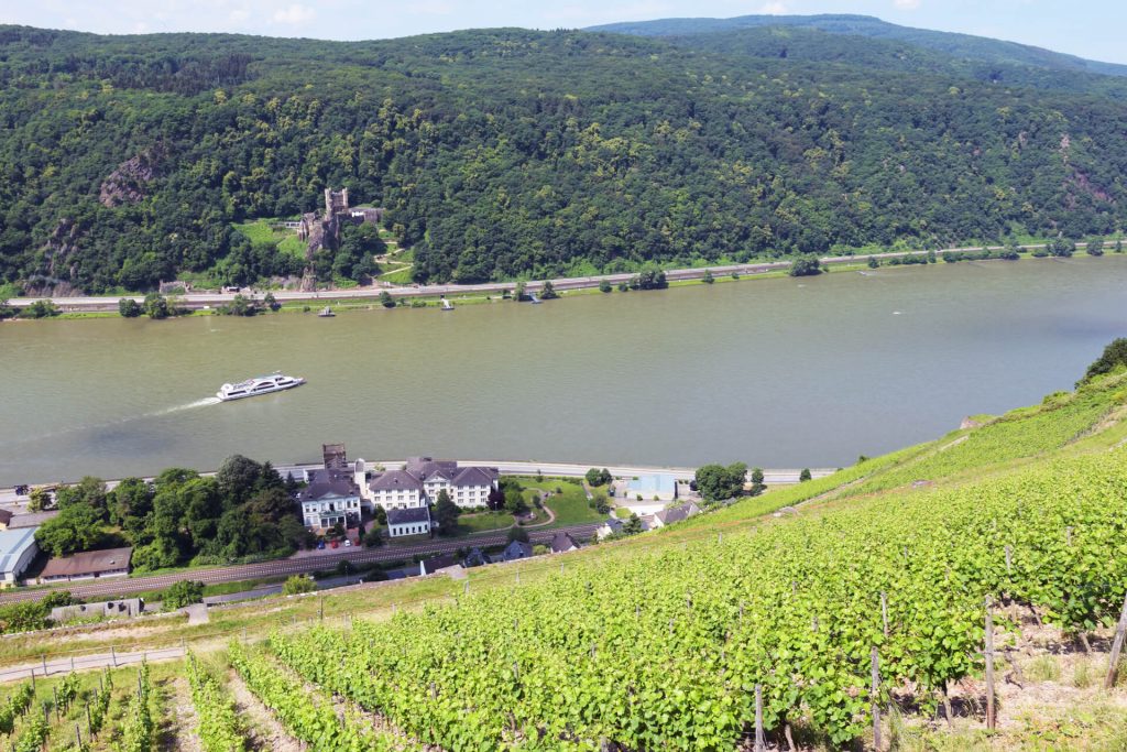 Foto 4 von Weingut und Weinhaus August Kesseler