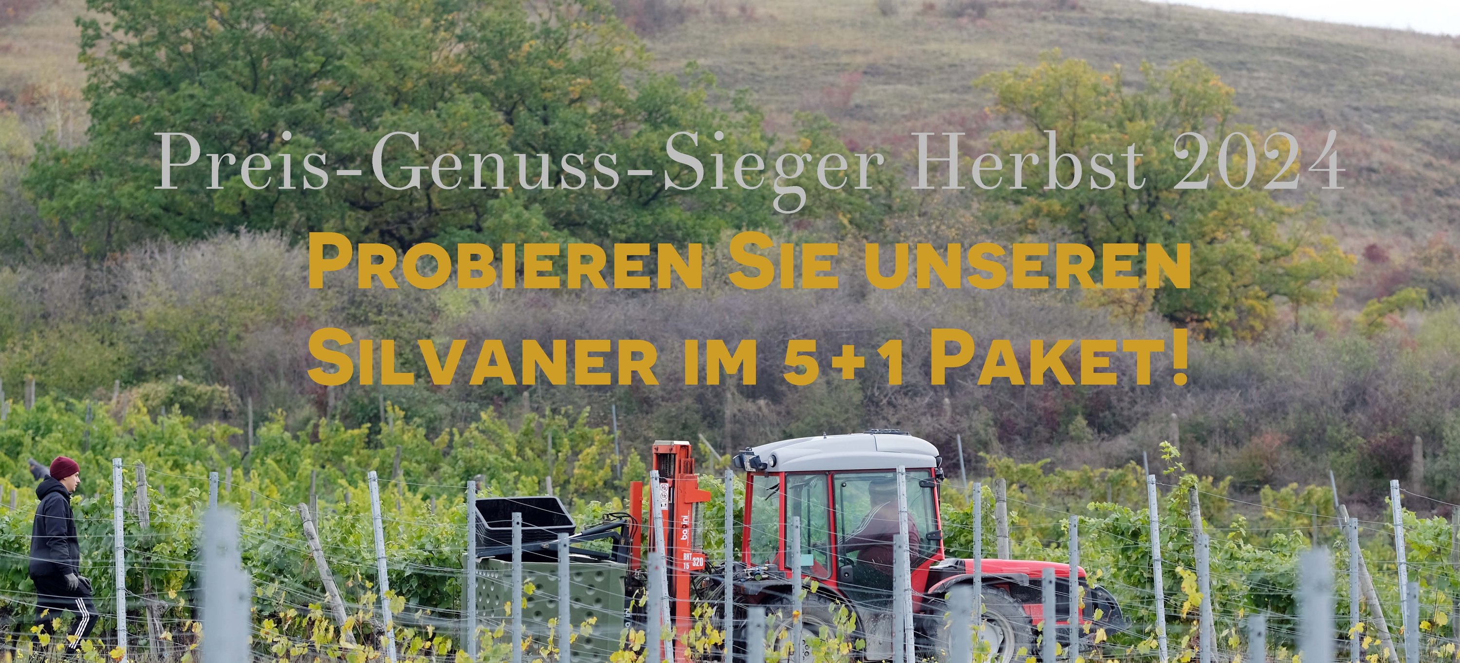 Foto 2 von Weingut Uwe Lützkendorf