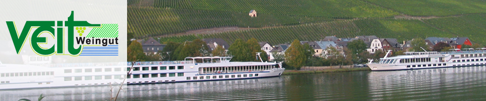 Foto 1 von Weingut Veit