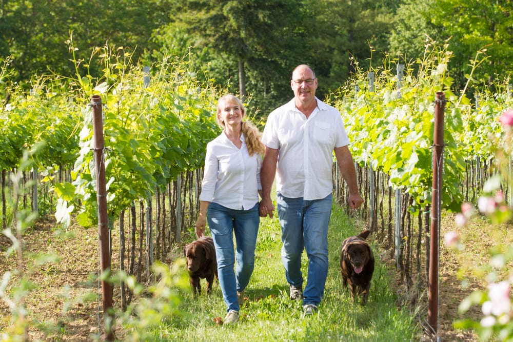 Foto 4 von Weingut Vögeli