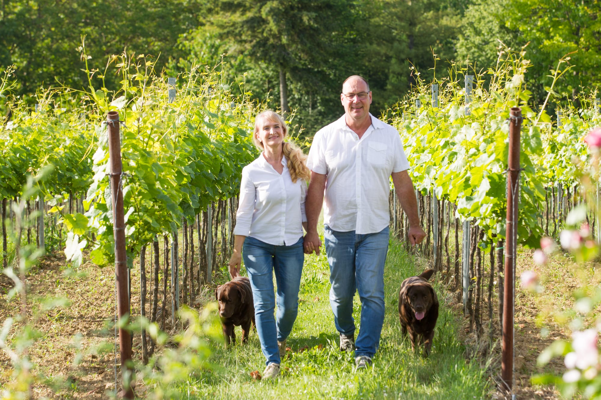 Foto 1 von Weingut Vögeli