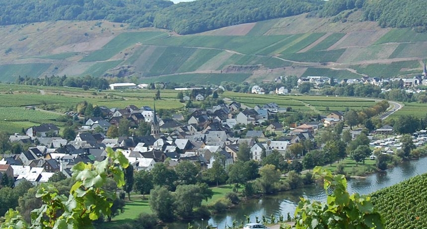Foto 1 von Weingut Volker Schwaab