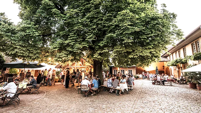 Foto 5 von Weingut Wagner-Stempel
