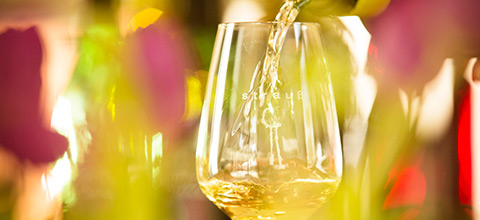 Foto 1 von Weingut Walter & Carsten Strauß GdbR