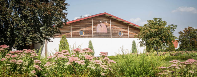 Фото 5 из Weingut Walter Merk GdbR - Jochen Merk