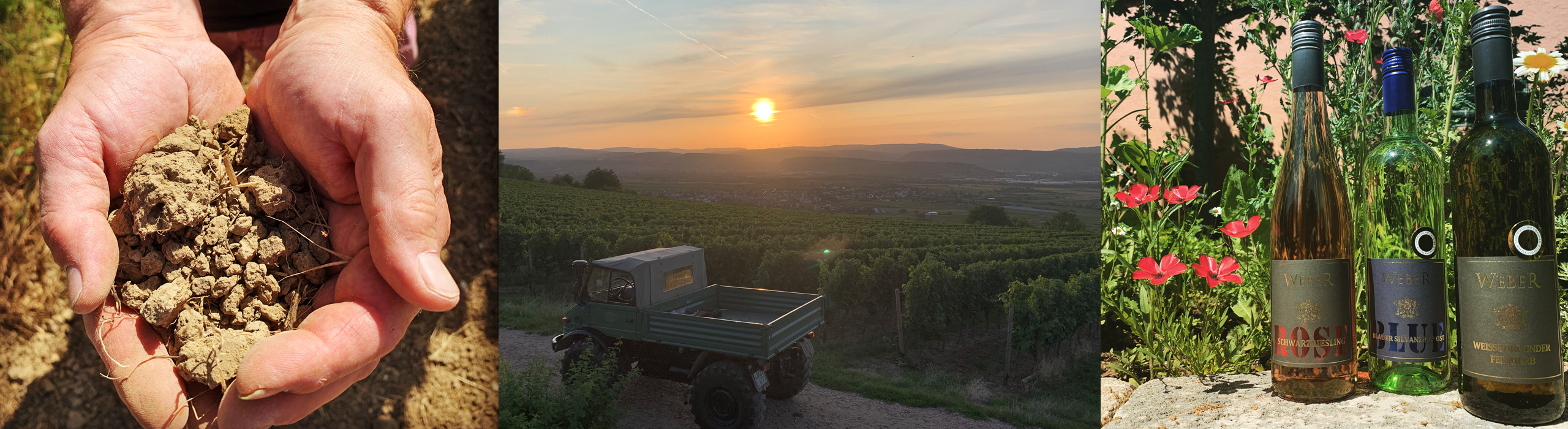 Foto 7 von Weingut Weber