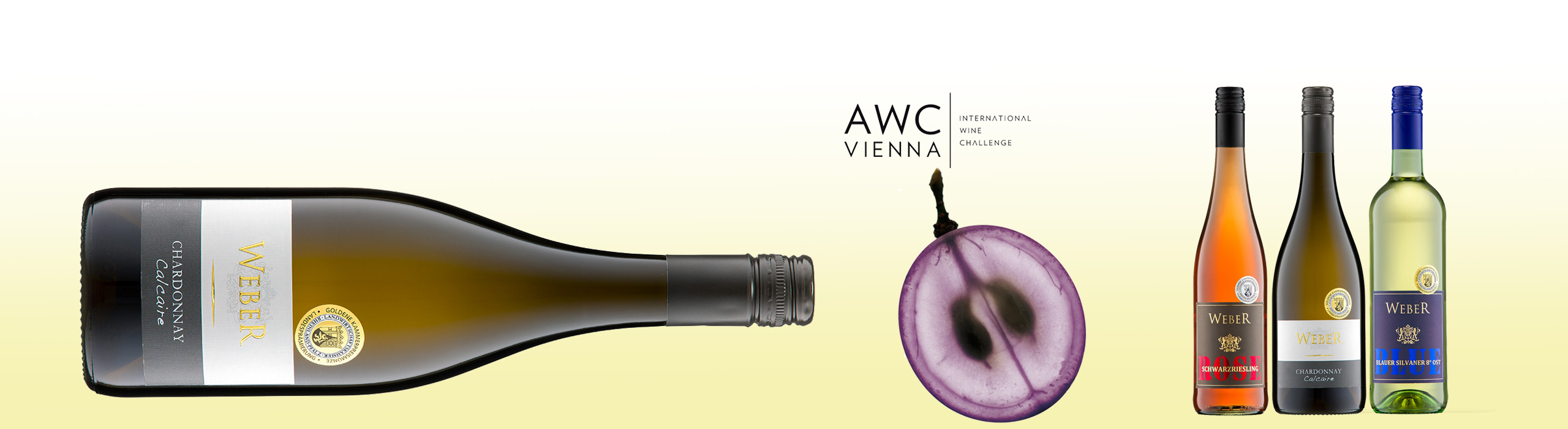Foto 3 von Weingut Weber