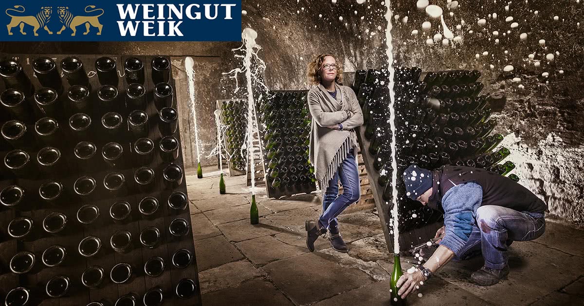Foto 7 von Weingut Weik