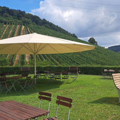 Foto 6 von Weingut Weingart