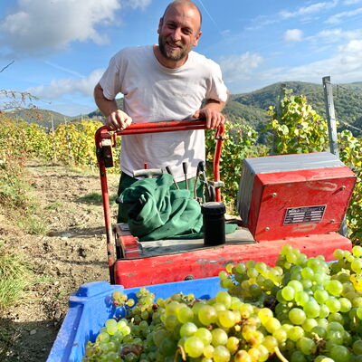 Foto 2 von Weingut Weingart