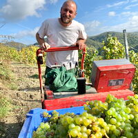 Foto 1 von Weingut Weingart