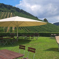 Foto 5 von Weingut Weingart