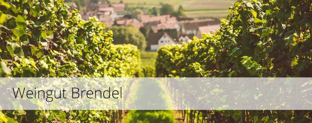 Foto 1 von Weingut & Weinstube Brendel