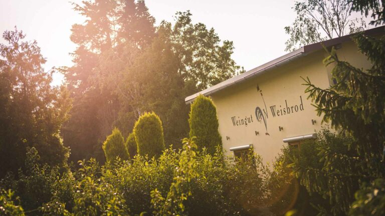 Foto 2 von Weingut Weisbrod