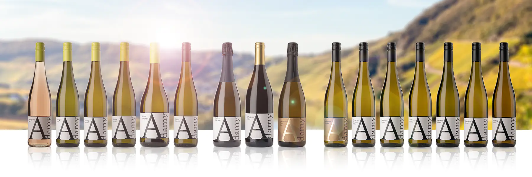 Wein & Gästehaus Adamy