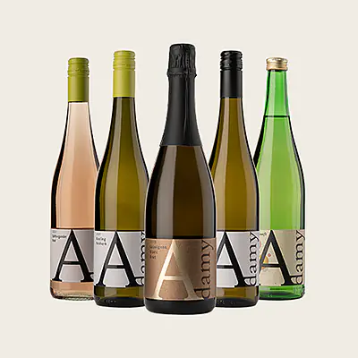 Foto 1 von Wein & Gästehaus Adamy