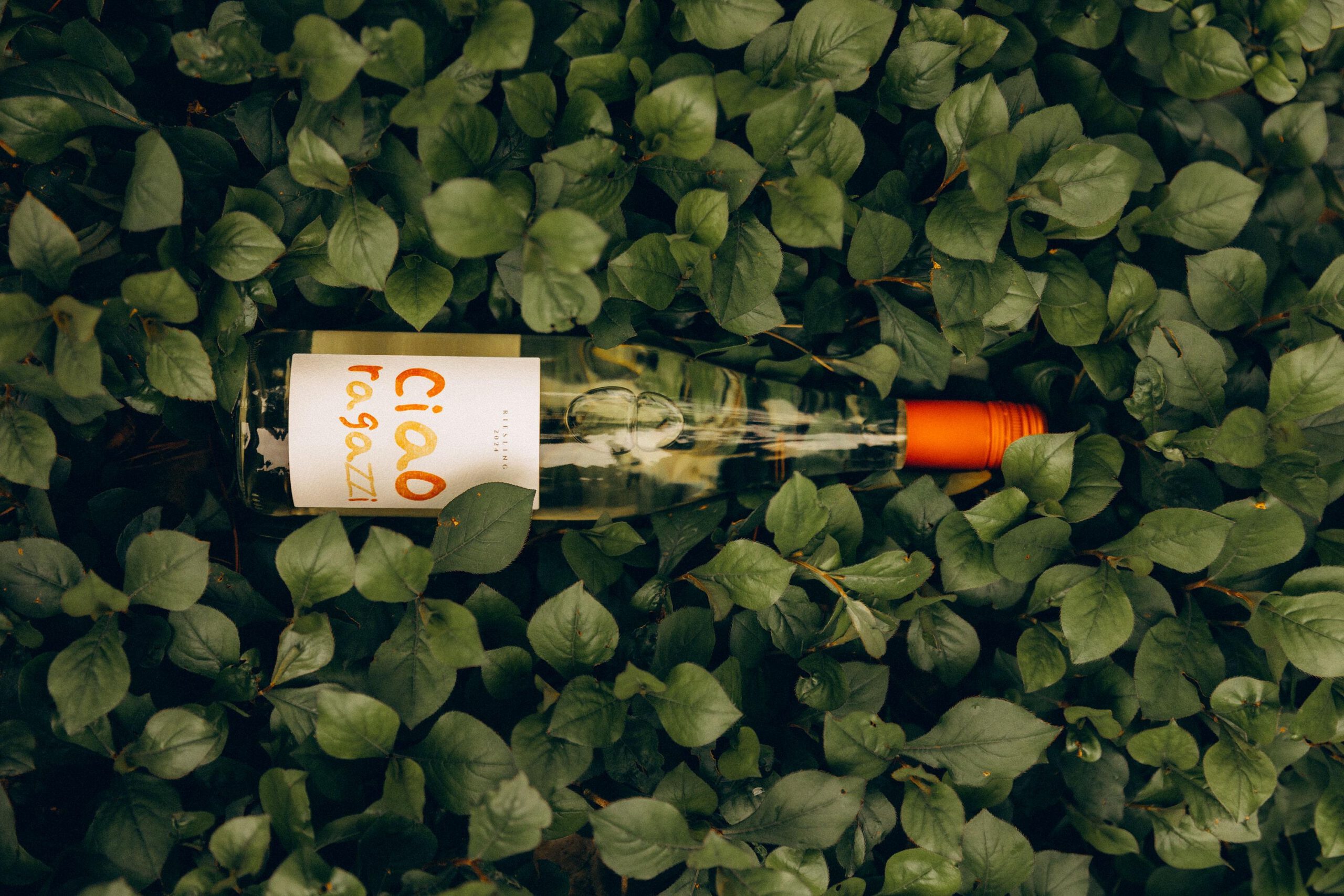 Foto 4 von Weingut Wendel