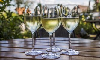 Weingut Werner Struppler und Sohn