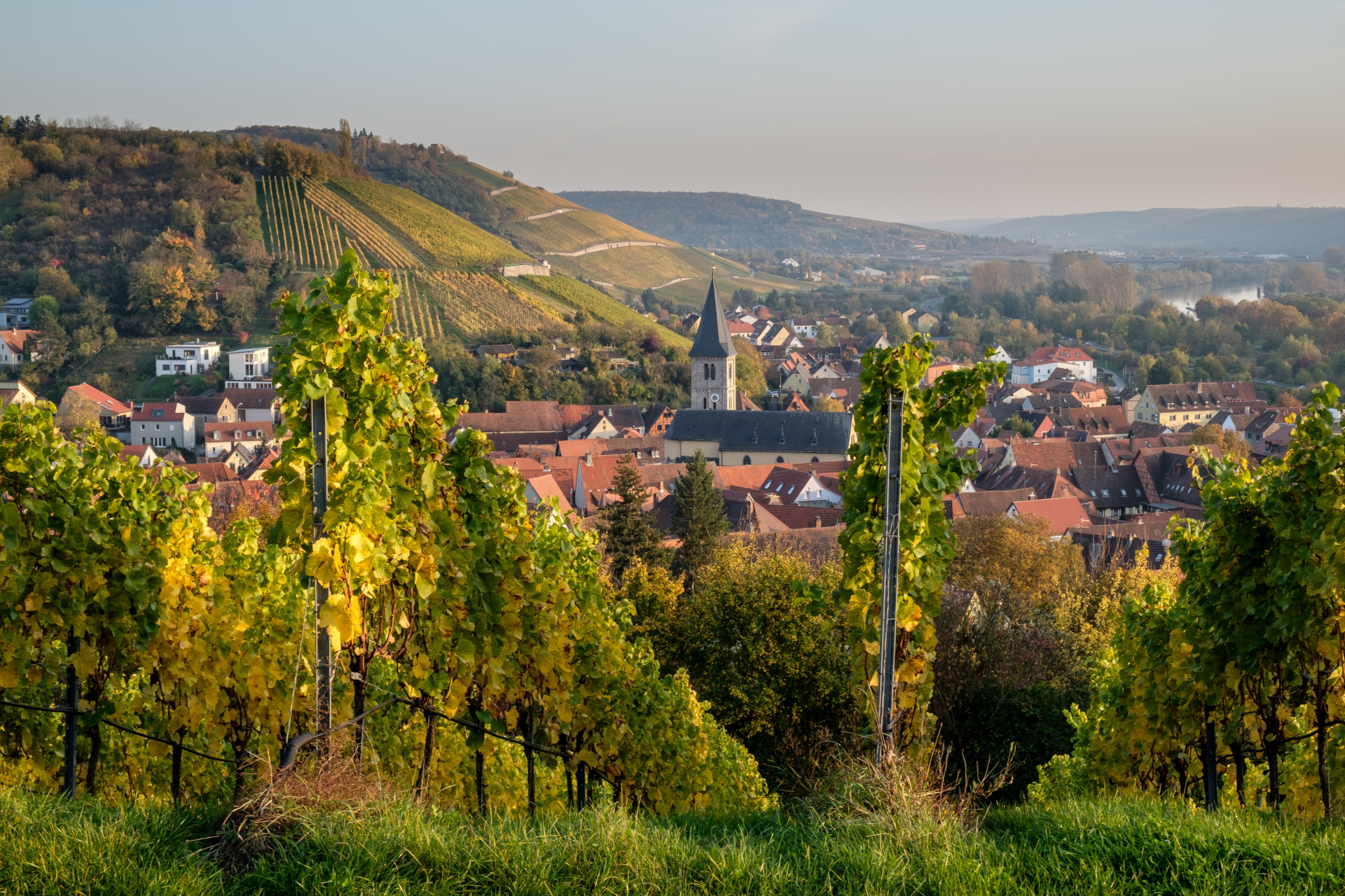 Foto 6 von Weingut Wilhelm Arnold