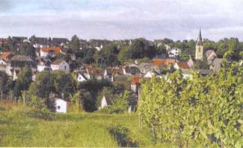 Foto 5 von Weingut Wilhelm Markloff