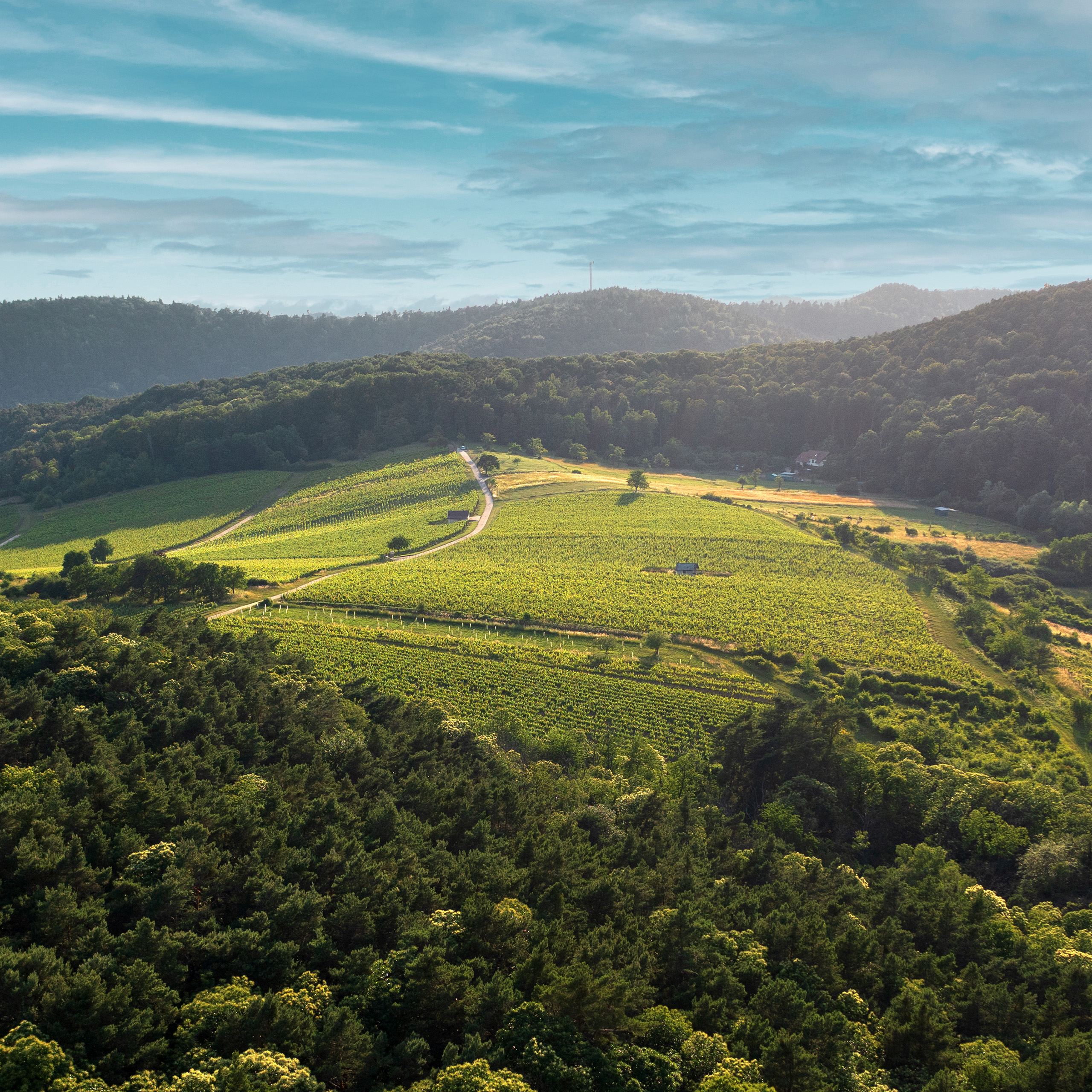 Weingut Wilker