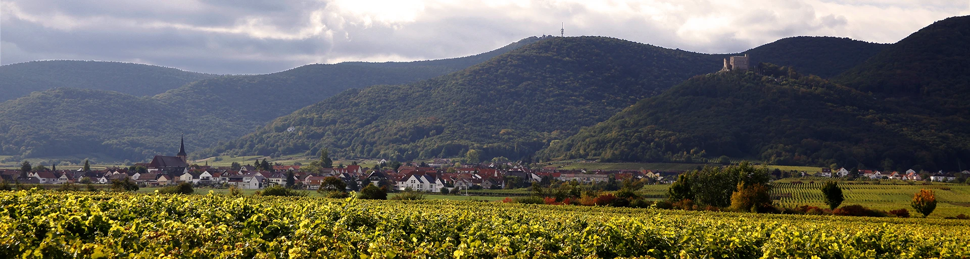 Foto 5 von Wein- & Sektgut Corbet