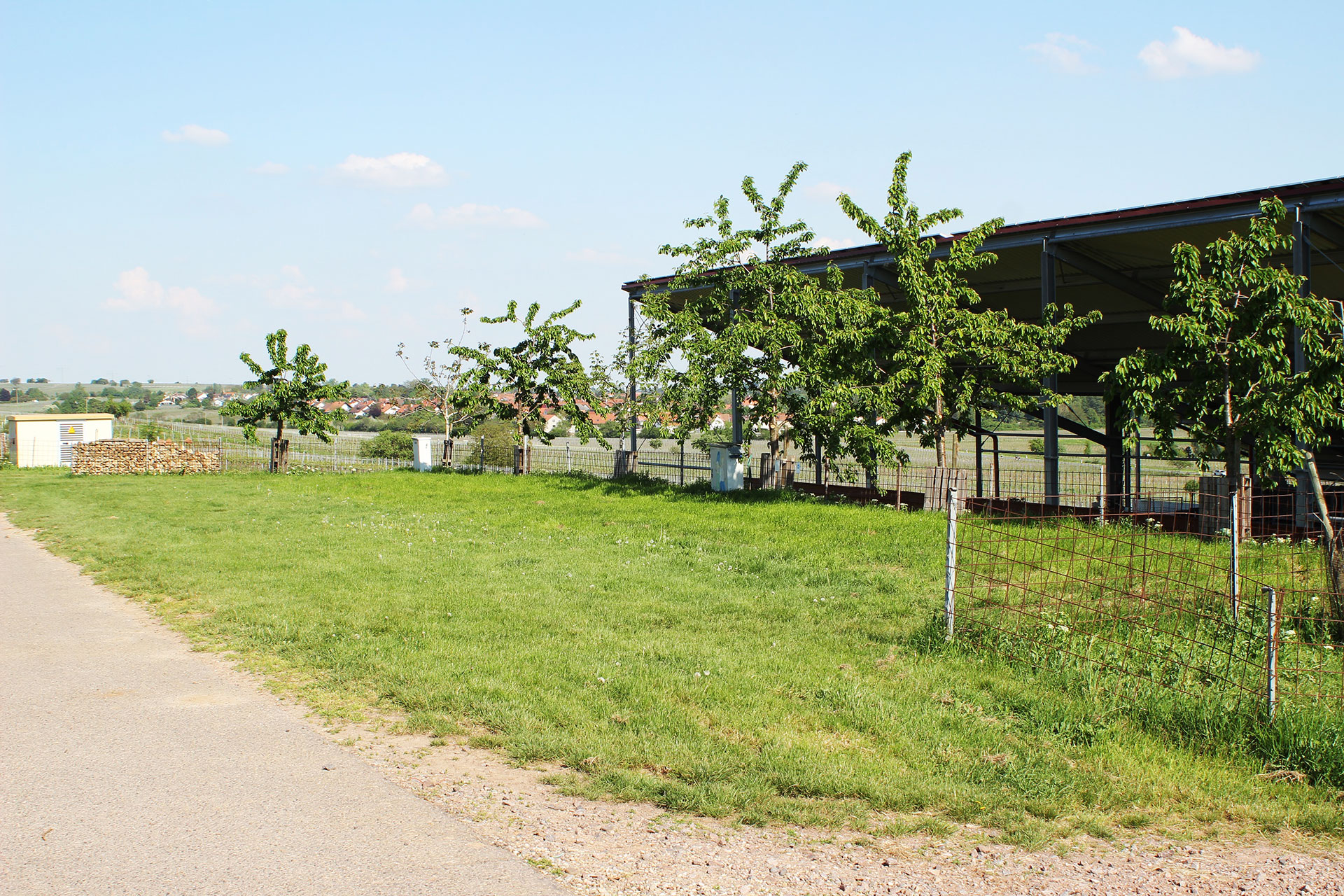 Foto 4 von Wein- & Sektgut Marienfelderhof
