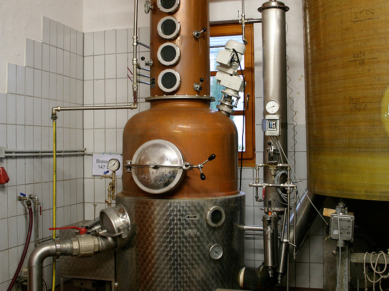 Foto 4 von Wein & Sektgut Michael Schaurer