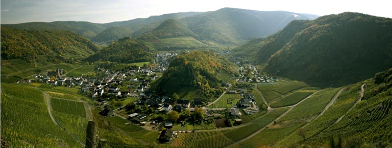 Foto 8 von Winzergenossenschaft Mayschoß-Altenahr e.G.
