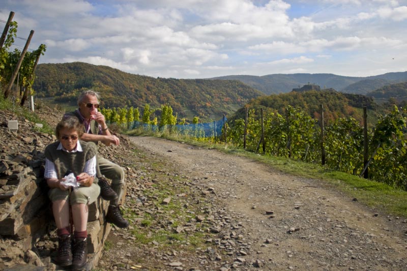 Foto 1 von Winzergenossenschaft Mayschoß-Altenahr e.G.