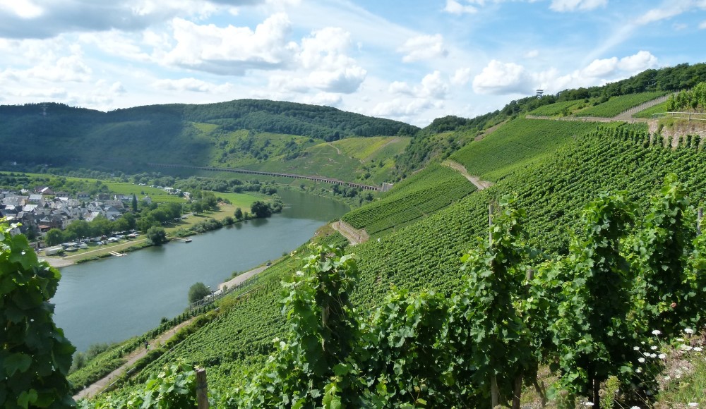 Foto 4 von Wein- und Gästehaus