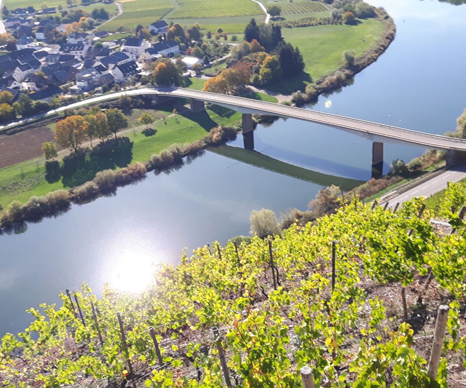 Foto 7 von Wein- und Sektgut Blesius-Jostock